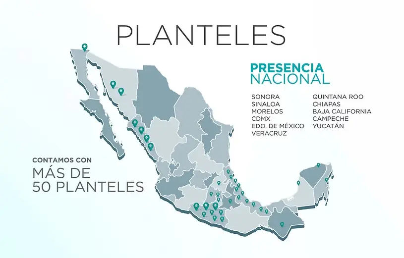 Mapa de planteles educativos en Cetec Xalapa